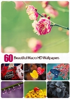 والپیپرهای متنوع طبیعت60 Beautiful Macro HD Wallpapers