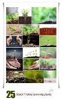 تصاویر با کیفیت گیاهان در حال رشدStock Photos Growing plants