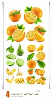 تصاویر با کیفیت میوه های متنوع، موز، لیمو، پرتقالStock Photo Food Mega Collection Fruit