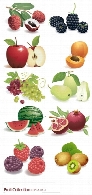 تصاویر وکتور میوه، هندوانه، تمشک، سیب، هلو و ...Fruit Collection