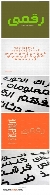 فونت عربی رقمیRaqami Arabic Font