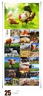 تصاویر با کیفیت کشاورزی، دامداری، حیوانات اهلیFarming