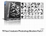 مجموعه براش موجودات دریایی برای فتوشاپ35 Sea Creatures Photoshop Brushes Pack 1