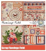 کلیپ آرت عناصر تزئینی، فریم، گل، تکسچرScrap Flamingo Field