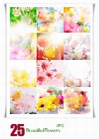 مجموعه تصاویر با کیفیت گل های بهاری و زیباBeautiful Flowers Set