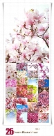 تصاویر با کیفیت درختان شکوفه های بهاریSpring Blossom Trees