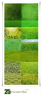 تصاویر با کیفیت چمن از شاتر استوکShutterstock Grass