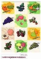 تصاویر وکتور میوه و سیزیجاتFruits & Vegetables Illustrations