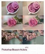 اکشن افکت های متنوعPhotoshop Blossom Actions