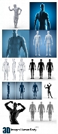 تصاویر با کیفیت سه بعدی بدن مردImages Human Body 3D