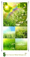 تصاویر با کیفیت پس زمینه های طبیعت سبز تابستانGreen Summer Nature Backgrounds