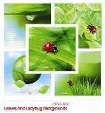 تصاویر وکتور پس زمینه طبیعت به همراه کفش دوزکLeaves And Ladybug Vector Backgrounds