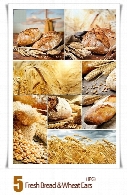 تصاویر با کیفیت نان و گندم تازهFresh Bread & Wheat Ears