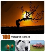 تصاویر والپیپر های با کیفیت و متنوعWallpapers Mania 16