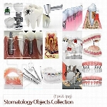مجموعه تصاویروکتورتجهیزات دندانپزشکی و پروتزStomatology Objects Collection
