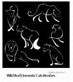 مجموعه براش های گربه وحشی و اهلیWild And Domestic Cats Brushes