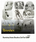 مجموعه براش اسب در حال حرکتRunning Horse Brushes Set For GIMP