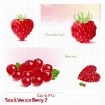 وکتور توتStock Vector Berry 02