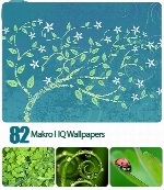 تصاویر والپیپر عکس های طبیعتMakro HQ Wallpapers