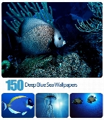 تصاویر والپیپر دریایی150 Deep Blue Sea Wallpapers