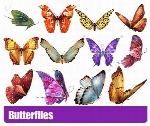 کلیپ آرت پروانه های رنگیButterflies