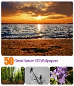 تصاویر والپیپر طبیعت، منظرهGreat Nature HD Wallpapers
