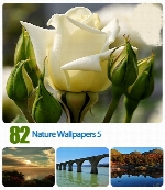 تصاویر والپیپر منظره، طبیعت، چشم اندازNature Wallpapers 05