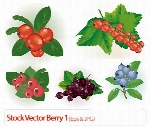 وکتور توتStock Vector Berry 01