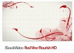 فایل آماده ویدئوی شکوفایی گل قرمزIStockVideo Red Vine Flourish HD