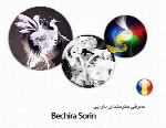 معرفی هنرمندان خارجی Bechira Sorin از کشور رومانی به همراه مجموعه آثار