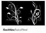فایل آماده ویدئویی گل دارIStockVideo Pack of Floral