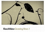 فایل آماده ویدئویی رشد گل01 IStockVideo Growing Vines