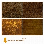 بافت پاییز، خزانAutumn Texture 07