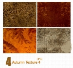 بافت پاییز، خزانAutumn Texture 04
