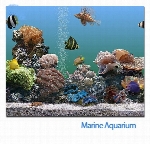 اسکرین سیور آکواریوم زیبا با ماهی های رنگارنگ Marine Aquarium 3.5.9
