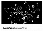 فایل آماده ویدئویی رشد گلIStockVideo Growing Vines