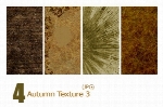بافت پاییز، خزانAutumn Texture 03