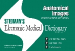 Stedman's electronic medical dictionary