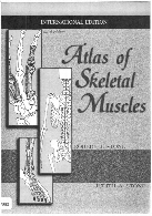 Atlas of skeletal muscles