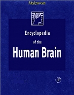 Encyclopedia of the human brain