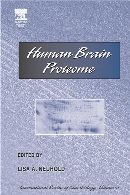 Human brain proteome