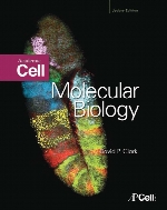 Molecular biology : academic cell update