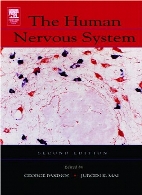 The Human nervous system