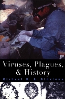 Viruses, plagues, and history