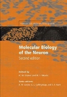 Molecular biology of the neuron : (molecular and cellular neurobiology)