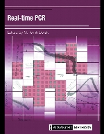 Real-time PCR.