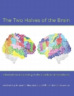 The two halves of the brain : information processing in the cerebral hemispheres