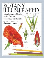 Botany illustrated : introduction to plants, major groups, flowering plant families