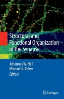 Structural and functional organization of the synapse