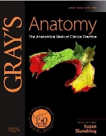 Gray's anatomy : the anatomical basis of clinical practice,40h ed